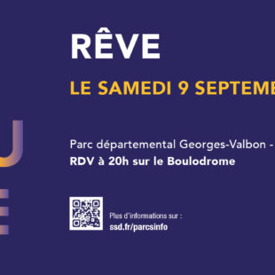 Spectacle nocturne « Rêve »