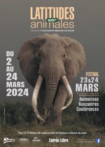 Affiche du festival Latitudes animales, montrant un éléphant impressionnant, pris de face. L'arrière plan, gris, se confond presque avec la peau de l'animal.