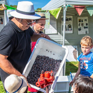 16e édition de la Fête de la Vigne au Sausset