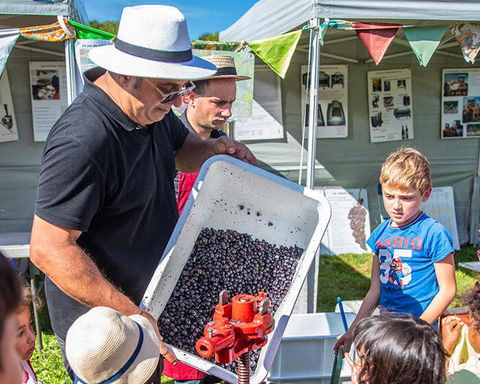 16e édition de la Fête de la Vigne au Sausset