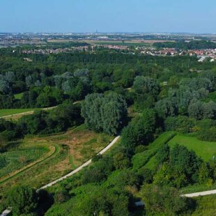 « Virtuoses de la nature » : une déambulation musicale au Sausset