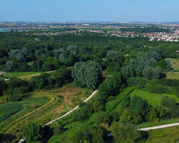 « Virtuoses de la nature » : une déambulation musicale au Sausset