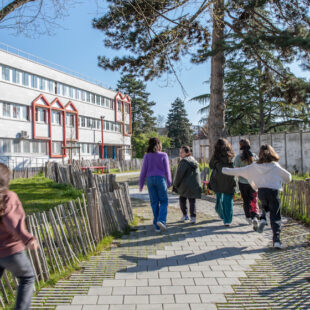 Une cour « oasis » pour une fraîcheur de vivre