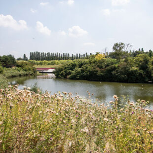 Le retour de la canicule en Seine-Saint-Denis
