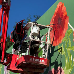 Un herbier XXL le long du tramway T1