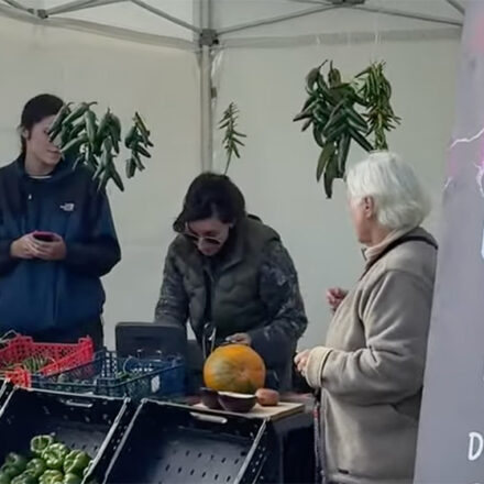 Une ambiance festive et conviviale au Sausset pour la fête de la vigne