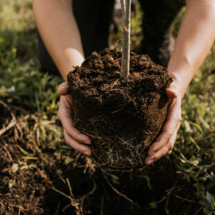 Climat : agir pour moins subir