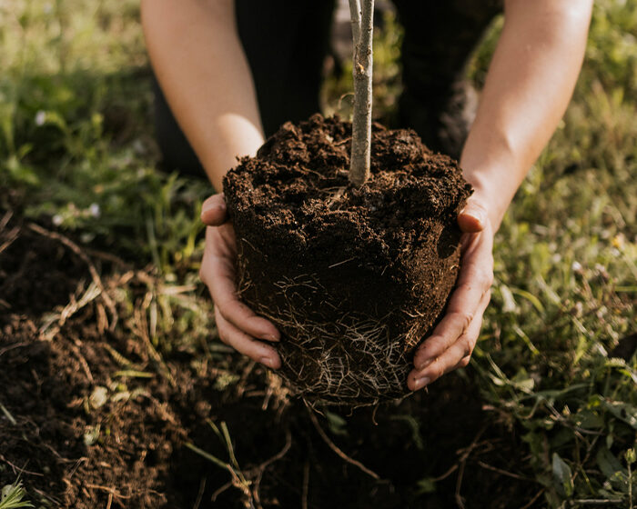 Climat : agir pour moins subir