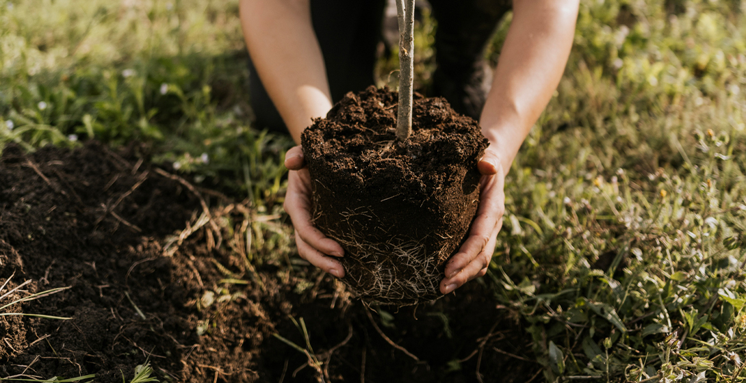 Climat : agir pour moins subir