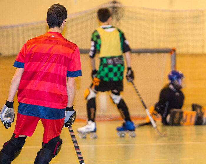Noisy-le-Grand Roller-Skating, organiser des 40e rugissants