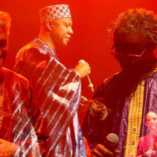 Africolor sur les chemins de la liberté