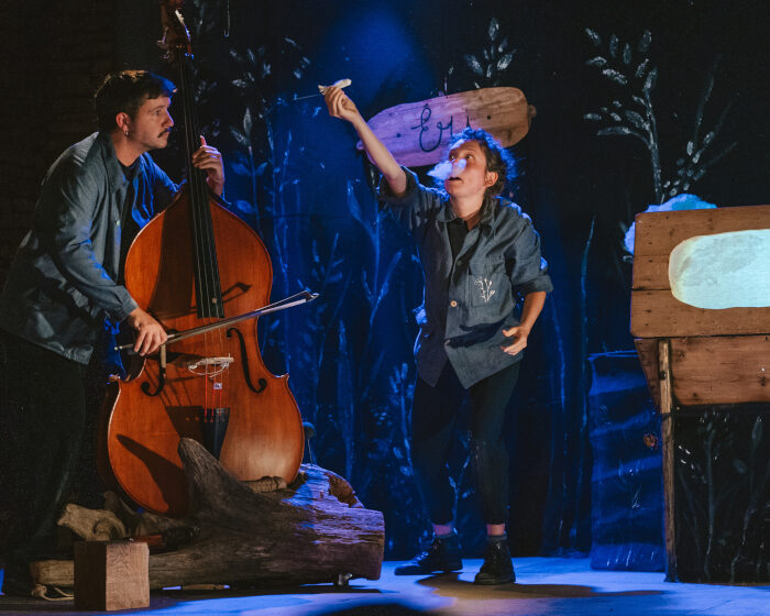 Micro-folies : des spectacles sous le gui !