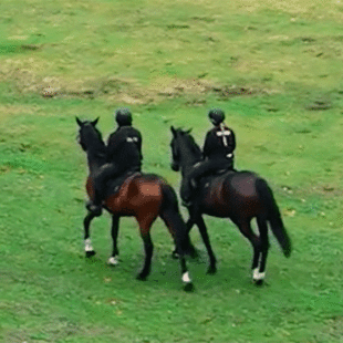 Découvrez le métier de Laura, éco-garde au parc Georges Valbon