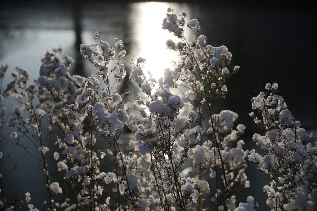 NEIGE CANAL DE L'OURQ - PARC DE LA BERGÈRE 
