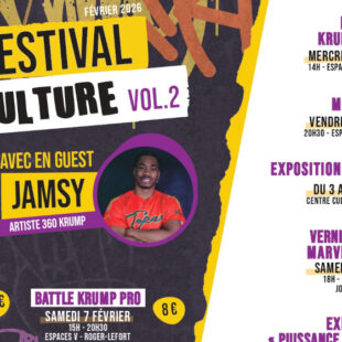 À Sur/Culture, les cultures urbaines font corps