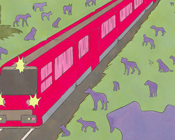 Regards Satellites : cinéma du réel