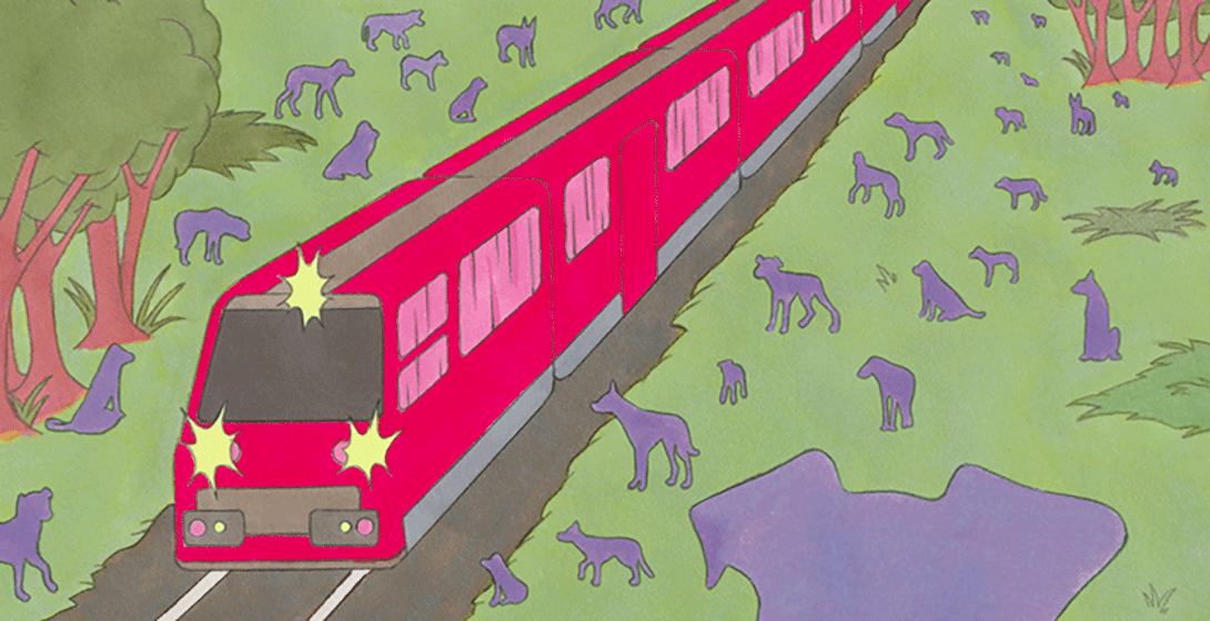 Regards Satellites : cinéma du réel