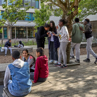 Lutter contre le harcèlement entre élèves