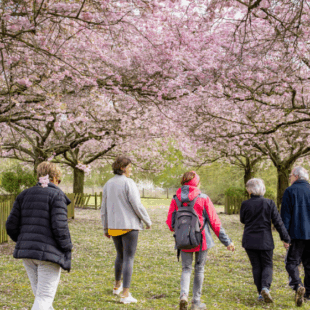 Le printemps arrive dans les parcs du Département !