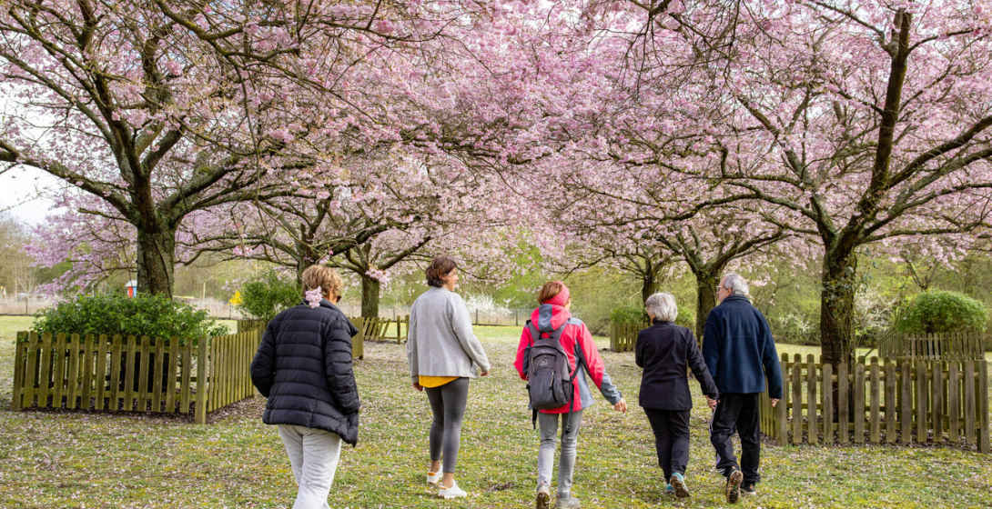 Le printemps arrive dans les parcs du Département !