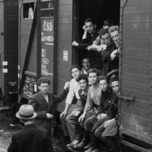 Shoah, survivre après