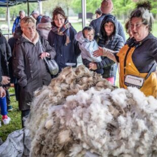 Une nouvelle saison d'animations