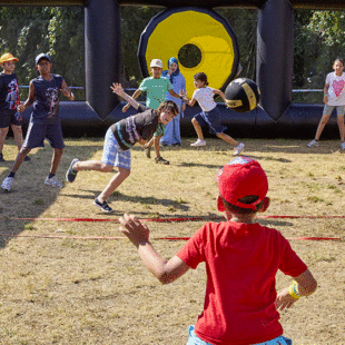 C&rsquo;est le printemps, les parcs s&rsquo;animent !