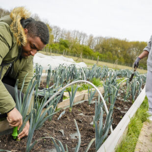 Semer les graines de l&rsquo;inclusion