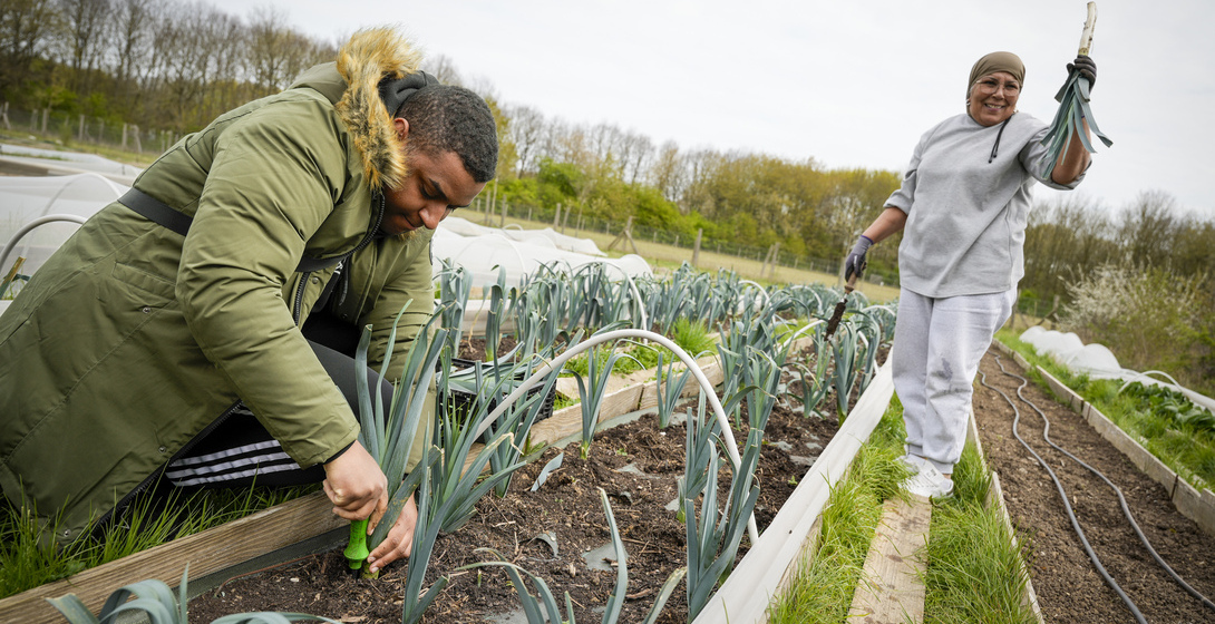 Semer les graines de l&rsquo;inclusion