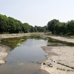 Passer du gris au vert