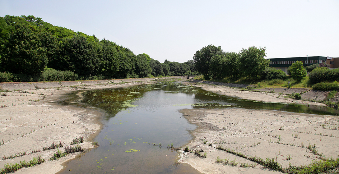 Passer du gris au vert