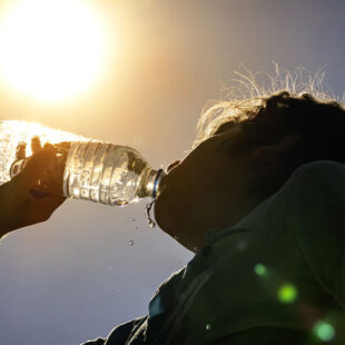 Canicule : ce que fait le Département
