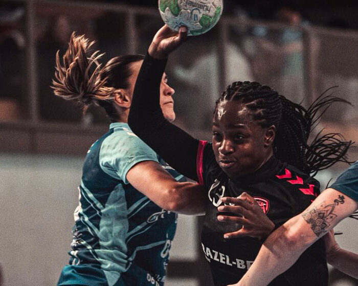 Les filles du Noisy-le-Grand handball remontent en D2 !