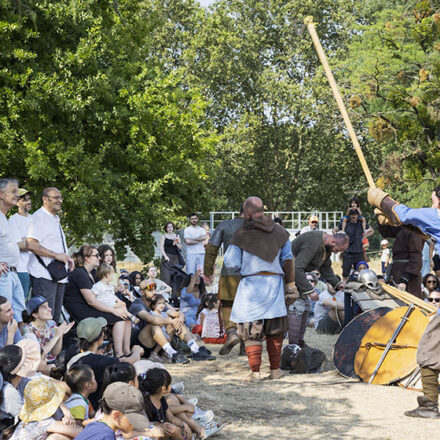 Immersion dans l&rsquo;univers des vikings