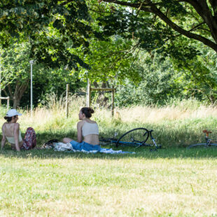 Alerte orange canicule, le Département en actions