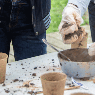 Les jardins des crèches et PMI s&rsquo;animent