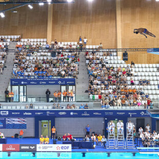 Plongez dans les championnats !