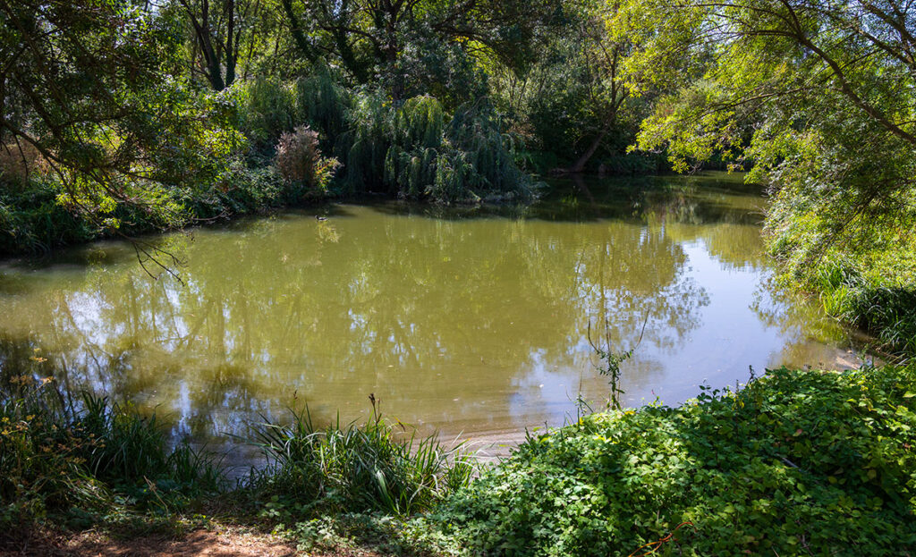 parc des bassins du pont yblon, blanc-mesnil - crédits photos : Franck RONDOT