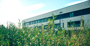 Le Département a installé une oseraie autour de la cuisine centrale de ce collège. 