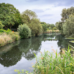 Un nouveau parc ouvre au Blanc-Mesnil !